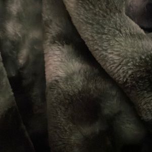 Meet your Posher, Paola